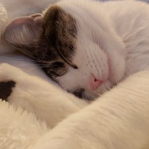 Meet your Posher, Émilie